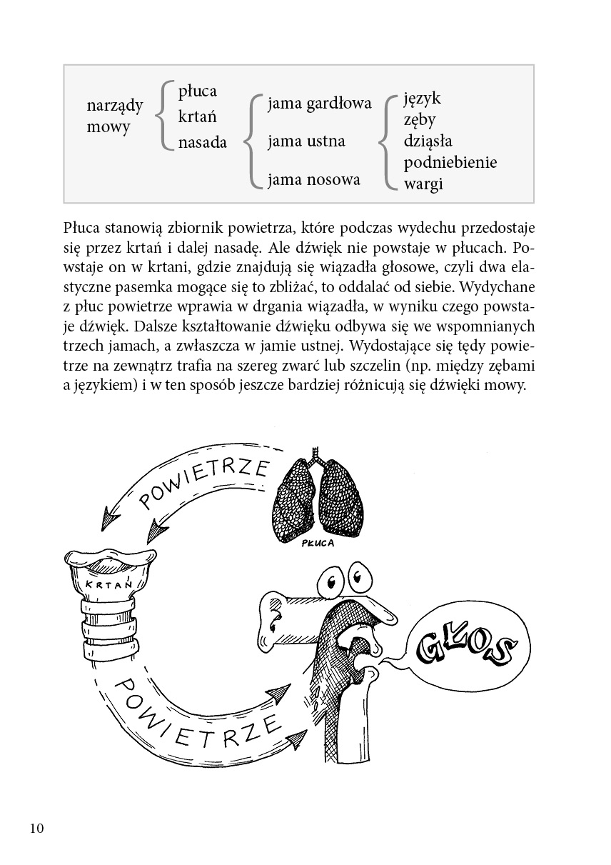 Gramatyka, co z głowy nie umyka