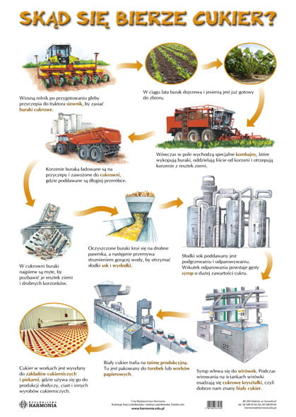 Plansza Skąd się bierze cukier?/Skąd się bierze miód?