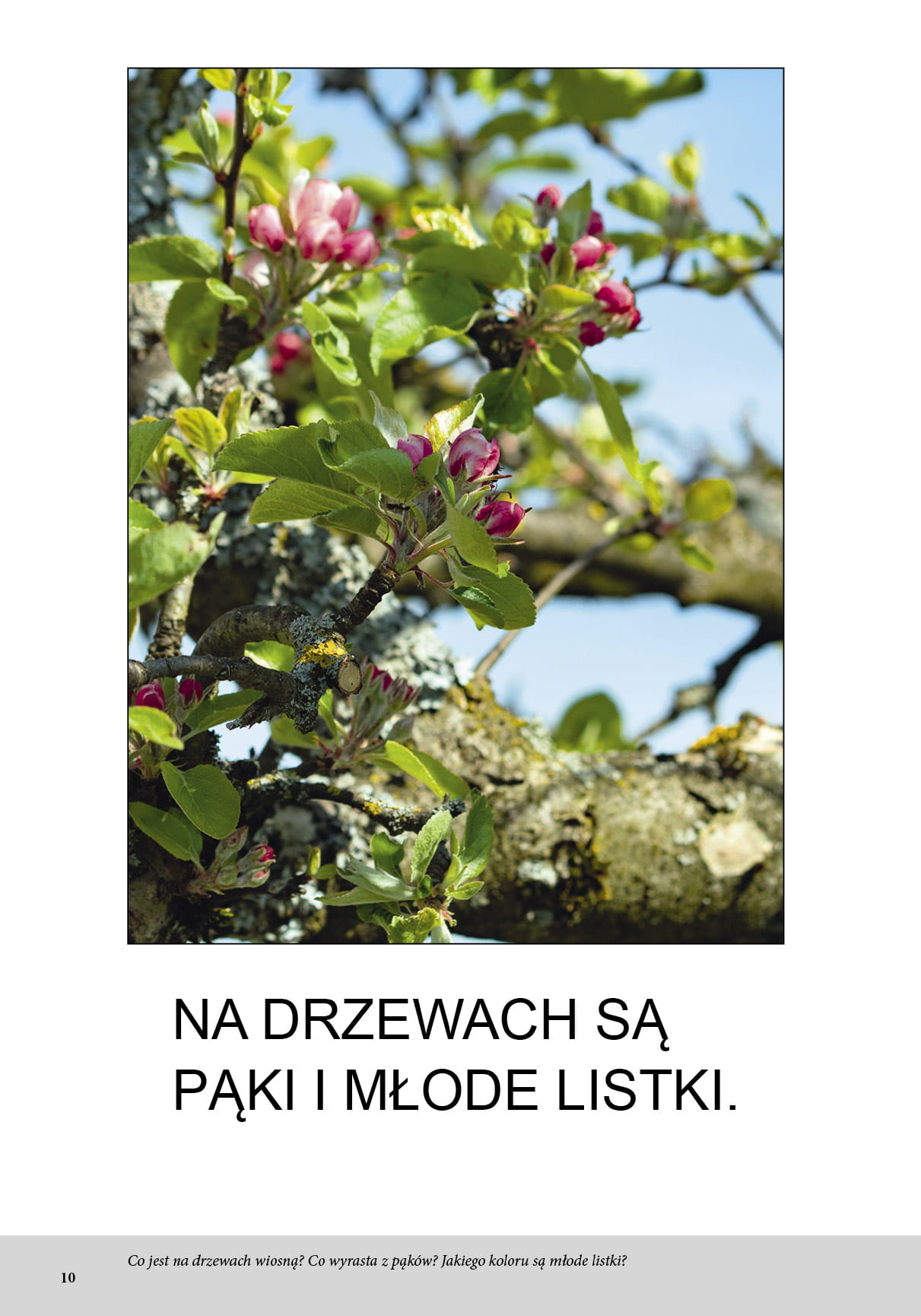 Bardzo proste czytanki dla dzieci. Wiosna