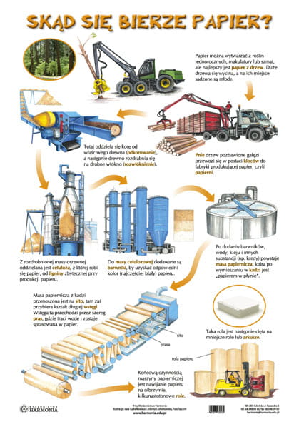 Plansza Skąd się bierze papier?/Skąd się bierze książka?